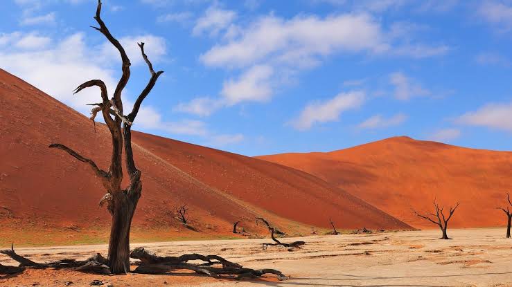 Namib Desert PHOTO/Courtesy