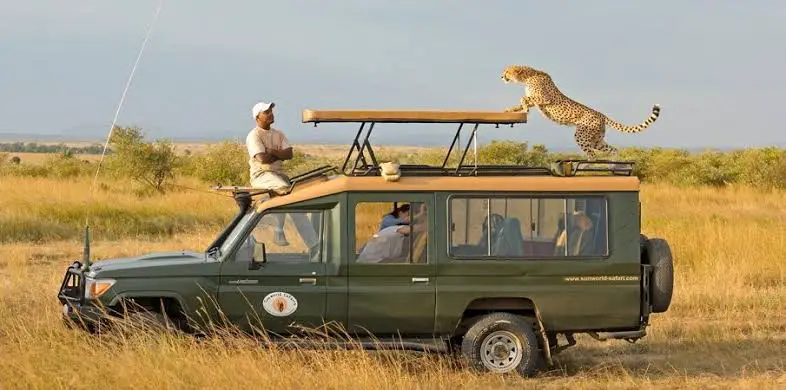 Tourists on Safari PHOTO/Wildlife Kenya Safari