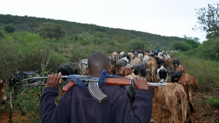 An armed herder in Kenya’s Baringo County PHOTO/County