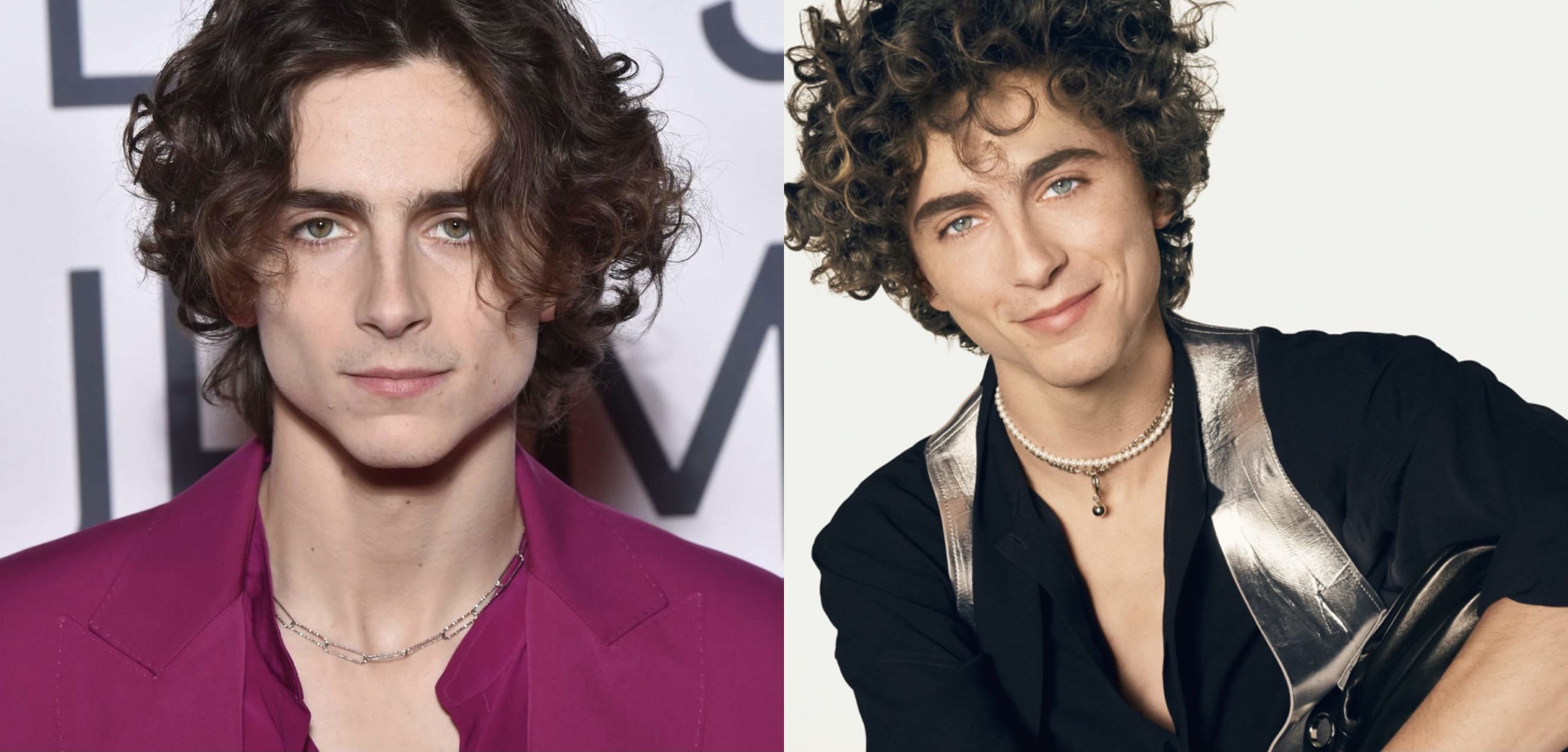 Who is Timothée Chalamet? Age, Height, Movies, Net Worth, Relationship ...